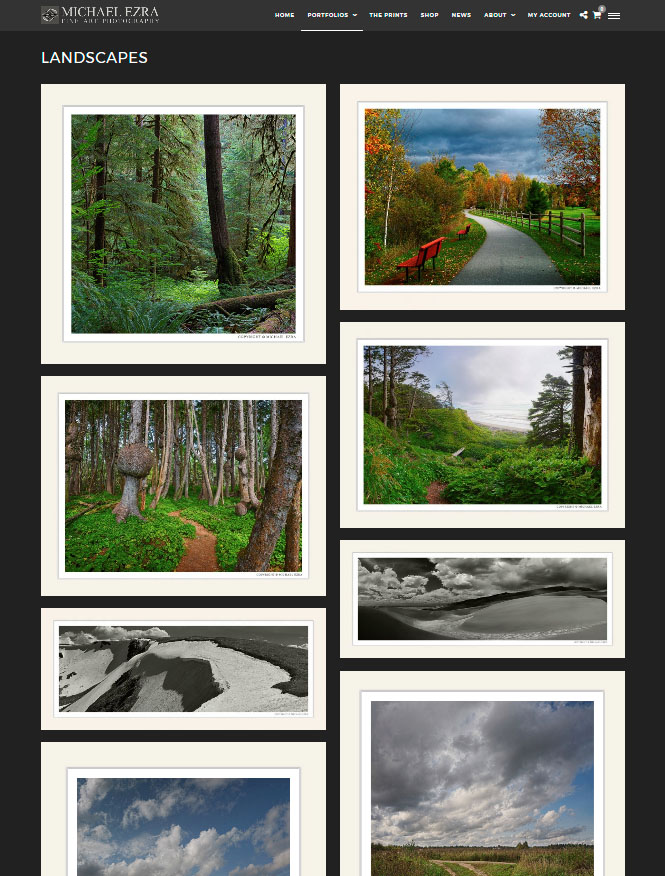 Web Design by PhotoVertex.com Web Design by PhotoVertex.com