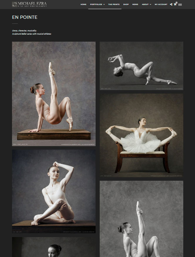 Web Design by PhotoVertex.com Web Design by PhotoVertex.com